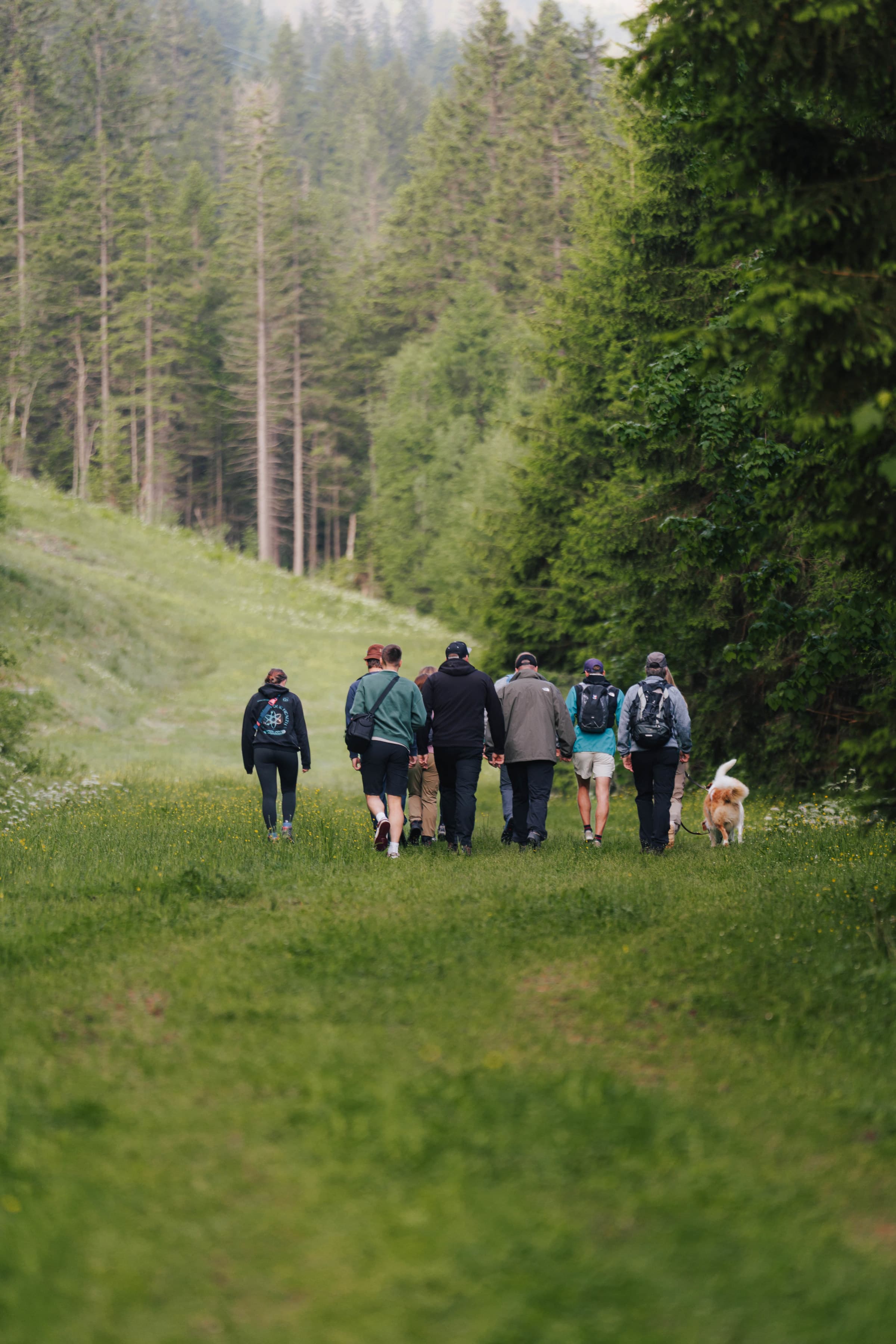 Bewegung, Natur, Gemütlichkeit