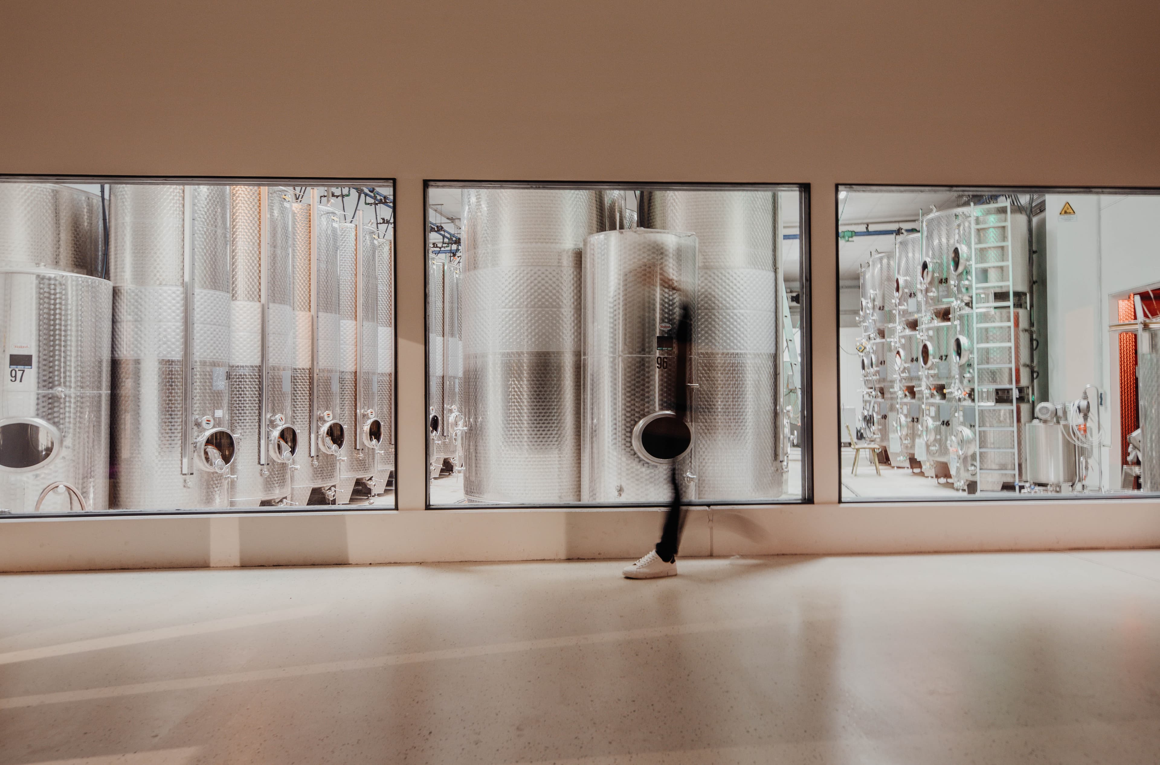 Weinprobe im Weingut Römmert